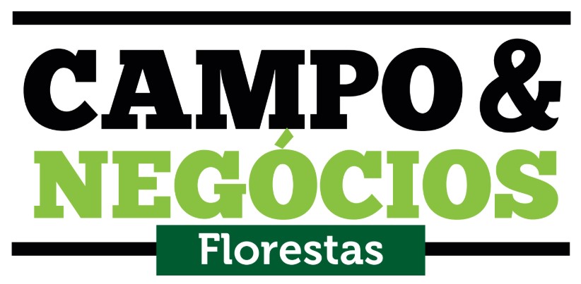 campo e negocios florestas