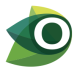 RECORTE-HTML---Florestas-Online-2025_06