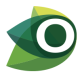 RECORTE-HTML---Florestas-Online-2025_06